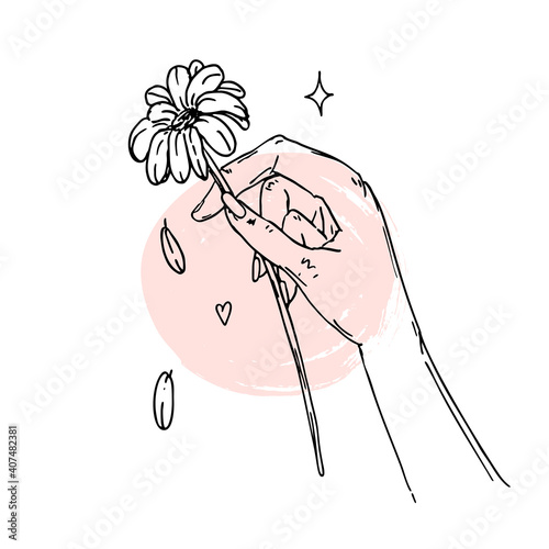 A female hand holds a flower. Divination by chamomile. Loves or dislikes. Doodle, sketch, icon. For festive decoration, prints, postcards. Drawn by hand. Illustration in the style of minimalism.