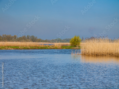 Inner Elbe in Haseldorf near Hamburg, Schleswig Holstein, Germany, Europe photo