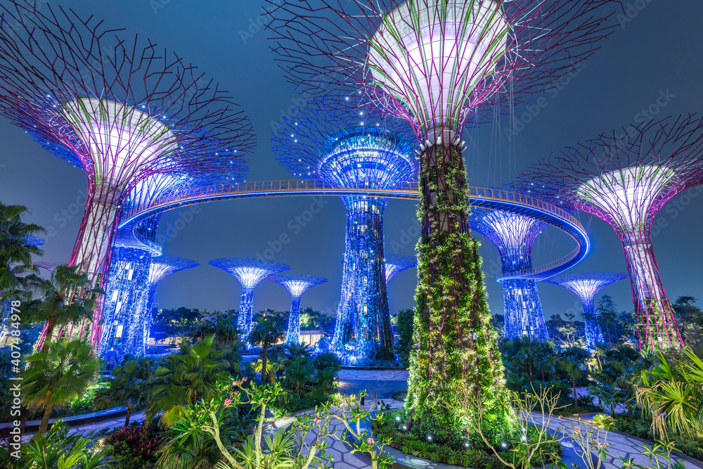 Gardens By The Bay Singapore Supertrees