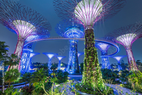 Obraz na płótnie Gardens By The Bay Singapore Supertrees w salonie