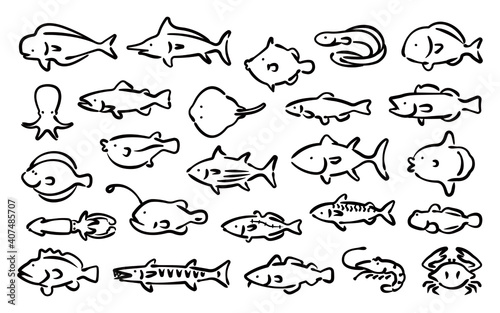 Saltwater fish vector set  Hand-drawn line version 