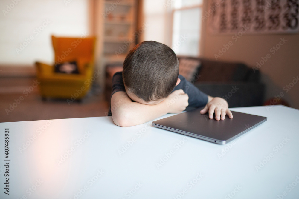 boy using the computer boy using the computer