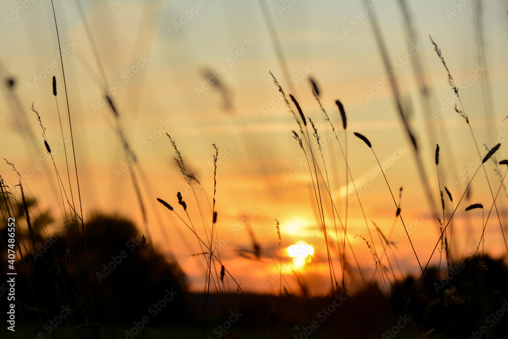 Sunset with grasses in the foreground