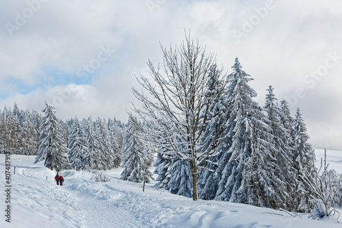 en raquettes dans les Vosges