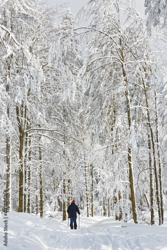 en raquettes dans les Vosges en raquettes dans les Vosges
