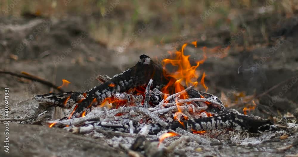 Close up of bonfire in the autumn forest, a embers in the fire. Close up of bonfire in the autumn forest, a embers in the fire.