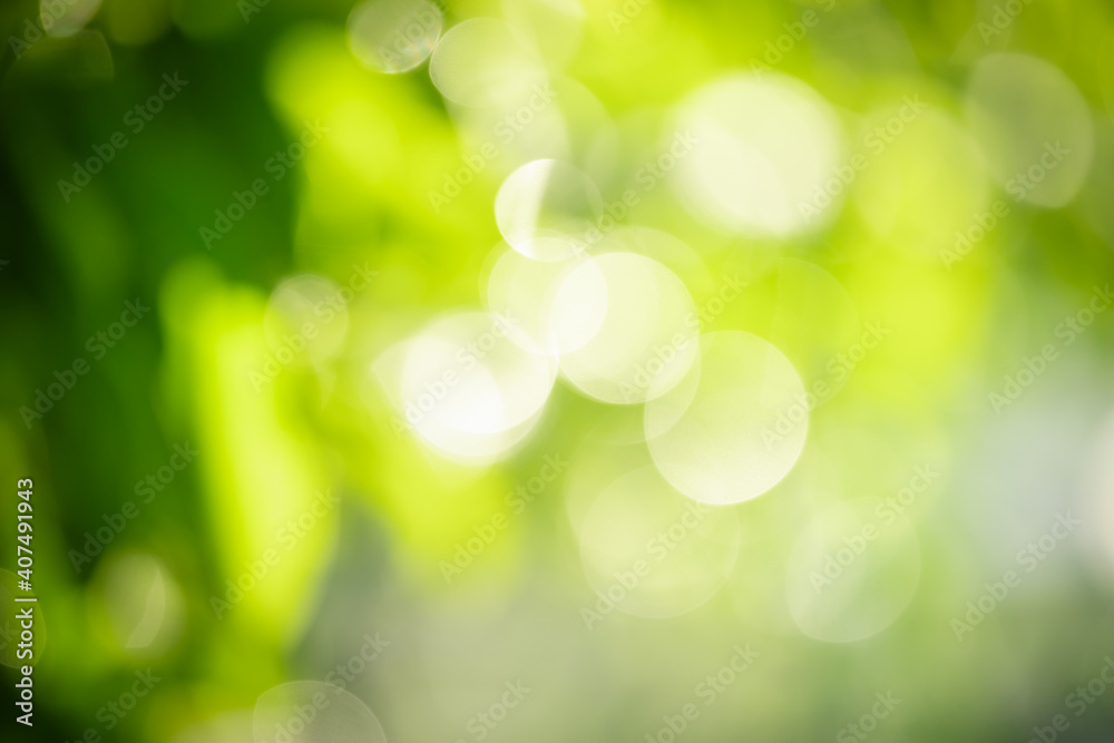 Abstract blurred out of focus and blurred green and yellow leaf nature background under sunlight with bokeh and copy space using as background natural plants landscape, ecology wallpaper concept.