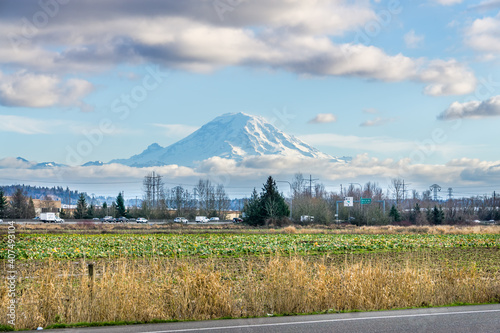 Field And Peak 2