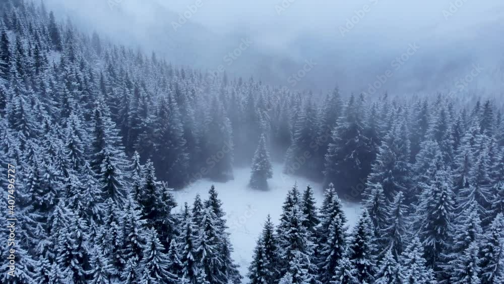 Drone rising above dark pine forest during a heavy snowfall. Aerial shot of winter valley Drone rising above dark pine forest during a heavy snowfall. Aerial shot of winter valley