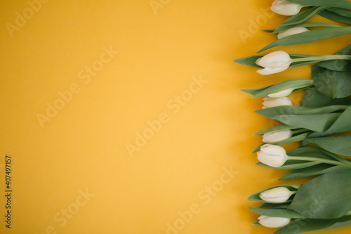 Tulips on yellow for a Womens Day, Mother Day, 8 march or Valentines day. The concept of holidays and good morning wishes.
