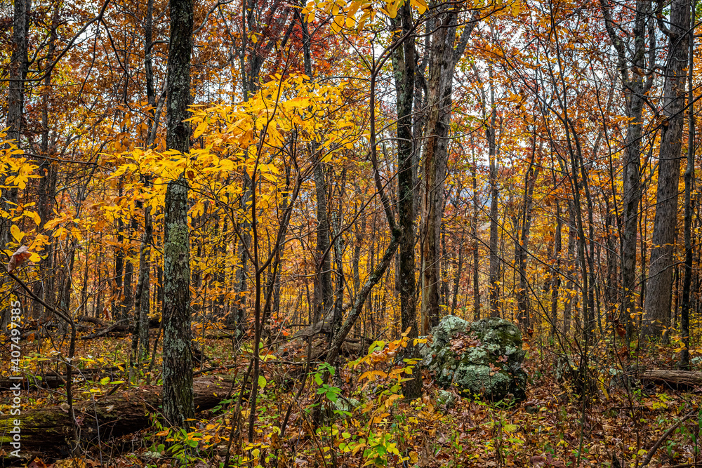 Autumn View of Shenandoah National Park Autumn View of Shenandoah National Park