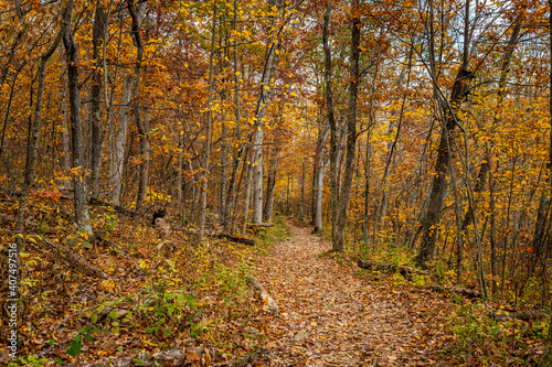 Autumn View of Shenandoah National Park © Brian