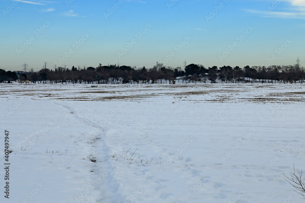 Image of snowy landscape, winter day
