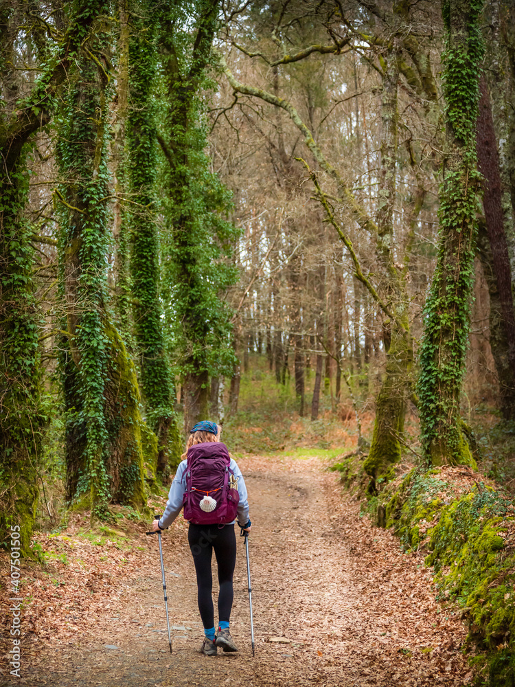 Pilgrim Girl with Hiking Gear Walking in Evening Forest in Galicia Spain along the Way of St James - Camino de Santiago Pilgrimage Trail Pilgrim Girl with Hiking Gear Walking in Evening Forest in Galicia Spain along the Way of St James - Camino de Santiago Pilgrimage Trail