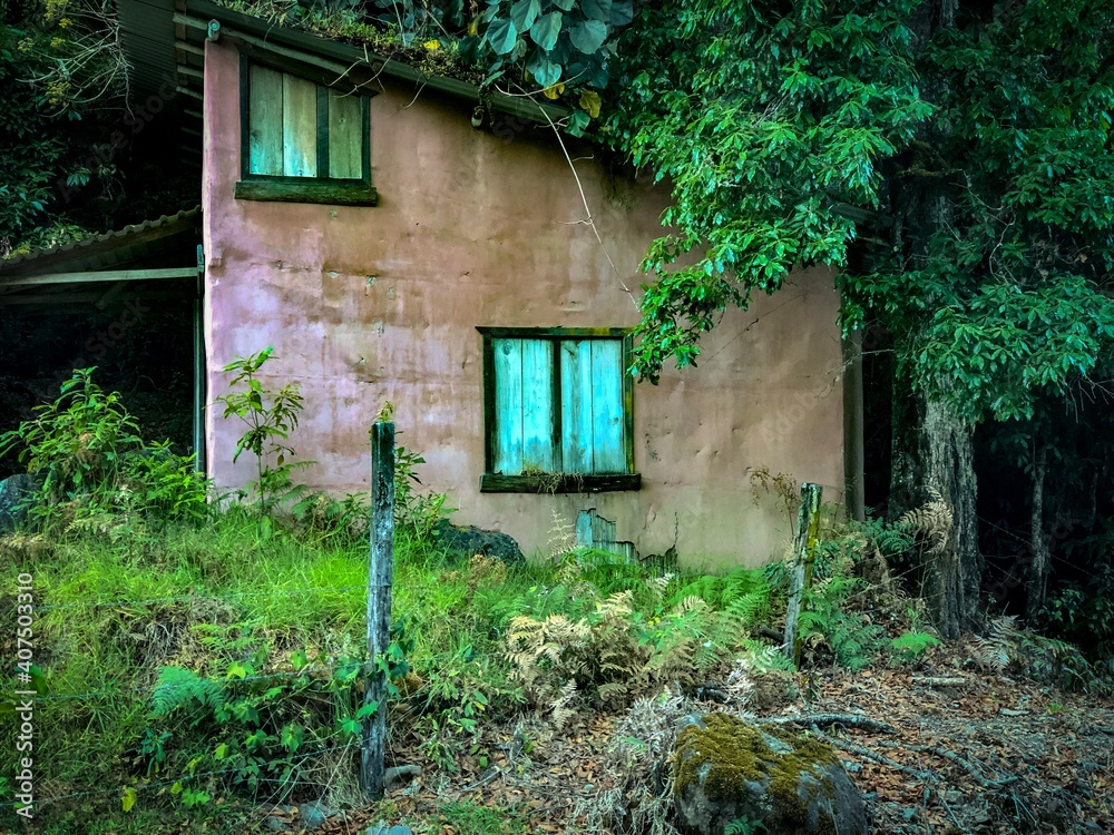 old house in the woods