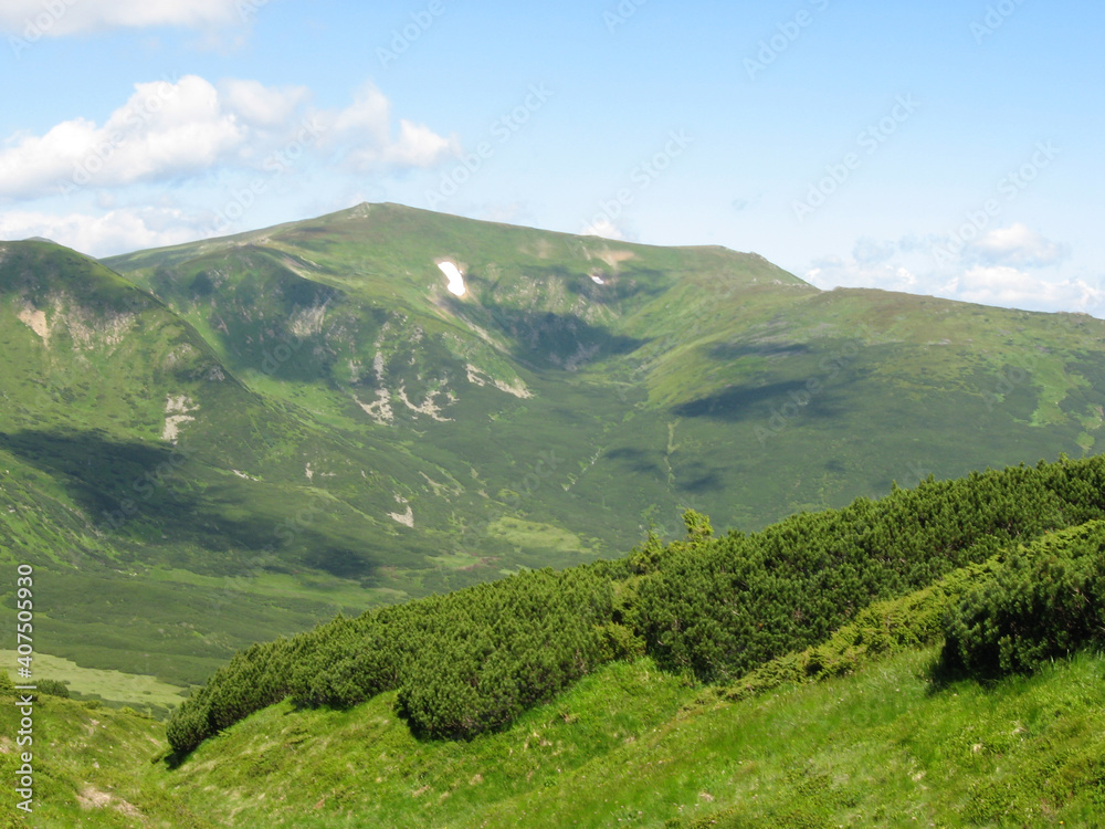 Naklejka premium The Carpathian Mountains. Ukraine, Europe, Earth.
