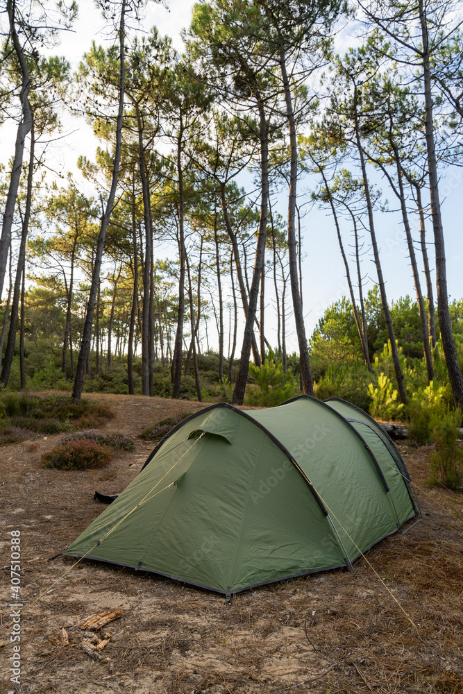 camping in the Atlantic Coast forest France 