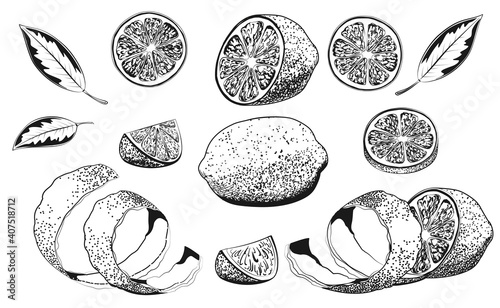 Hand drawn vector illustration - Collections of Lemons. Lemon, slice, leaf