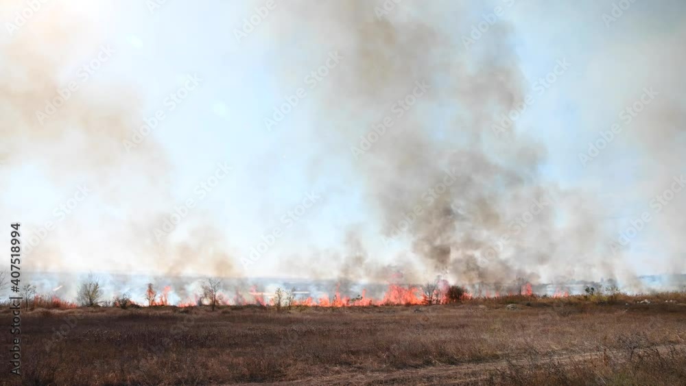 Natural disaster of uncontrolled burning. Burning dry grass and reeds in a field in an urban suburb. Tongues of flame and smoke on a sunny day Natural disaster of uncontrolled burning. Burning dry grass and reeds in a field in an urban suburb. Tongues of flame and smoke on a sunny day