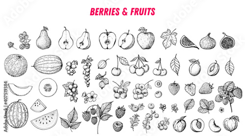 Berries and fruits drawing collection. Hand drawn berry and fruit sketch. Vector illustration. Engraved style. photo