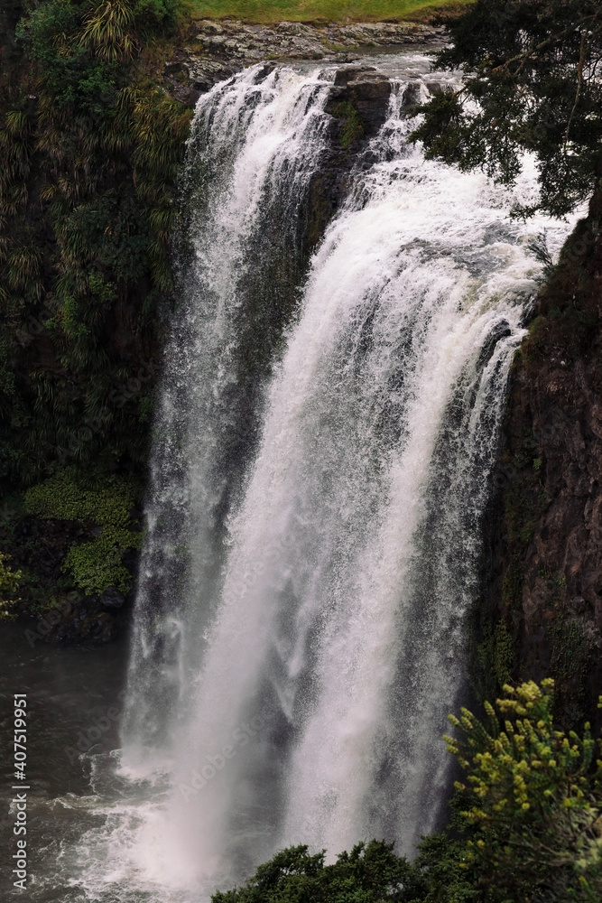 Obraz premium Whangarei Falls, New Zealand