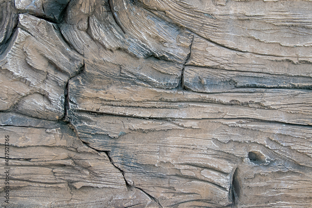 Old petrified wood texture and knot, wood grain, large wood details.