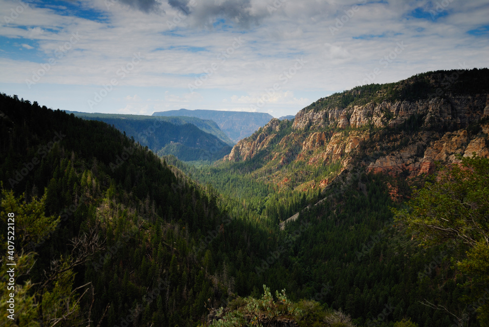 Beautiful Oak Creek Canyon in the afternoon light of summer near Sedona, Arizona, USA