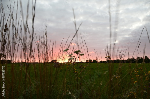 Sonnenuntergang im Nationalpark Lahemaa in Estland