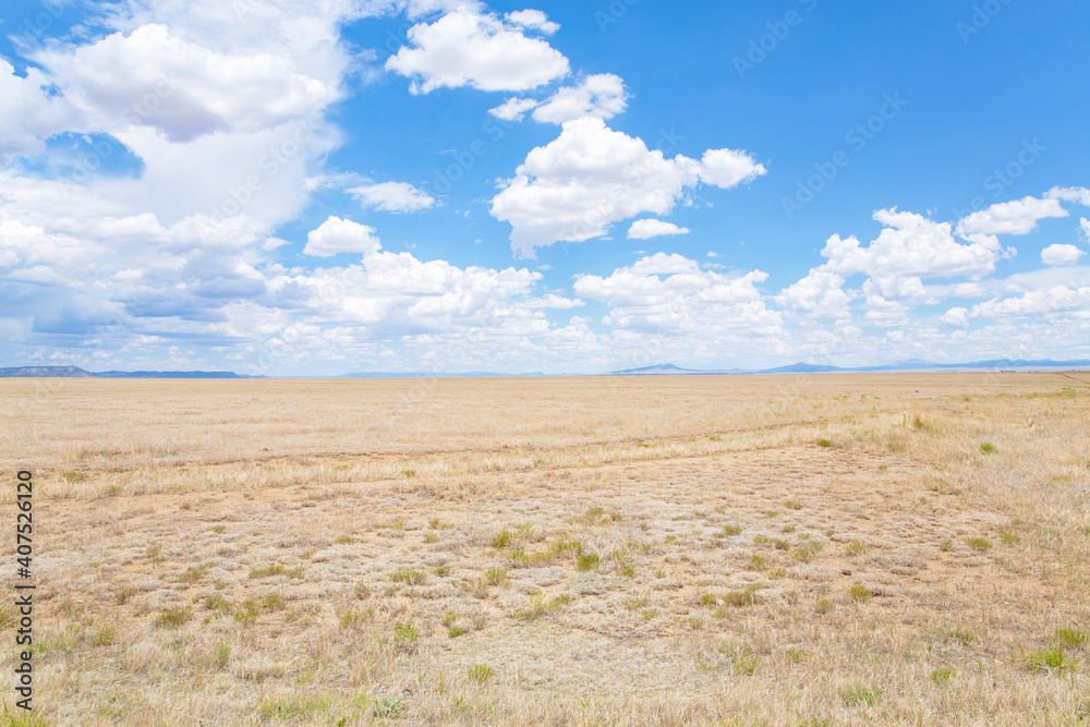 Wasteland in New Mexico, USA, July