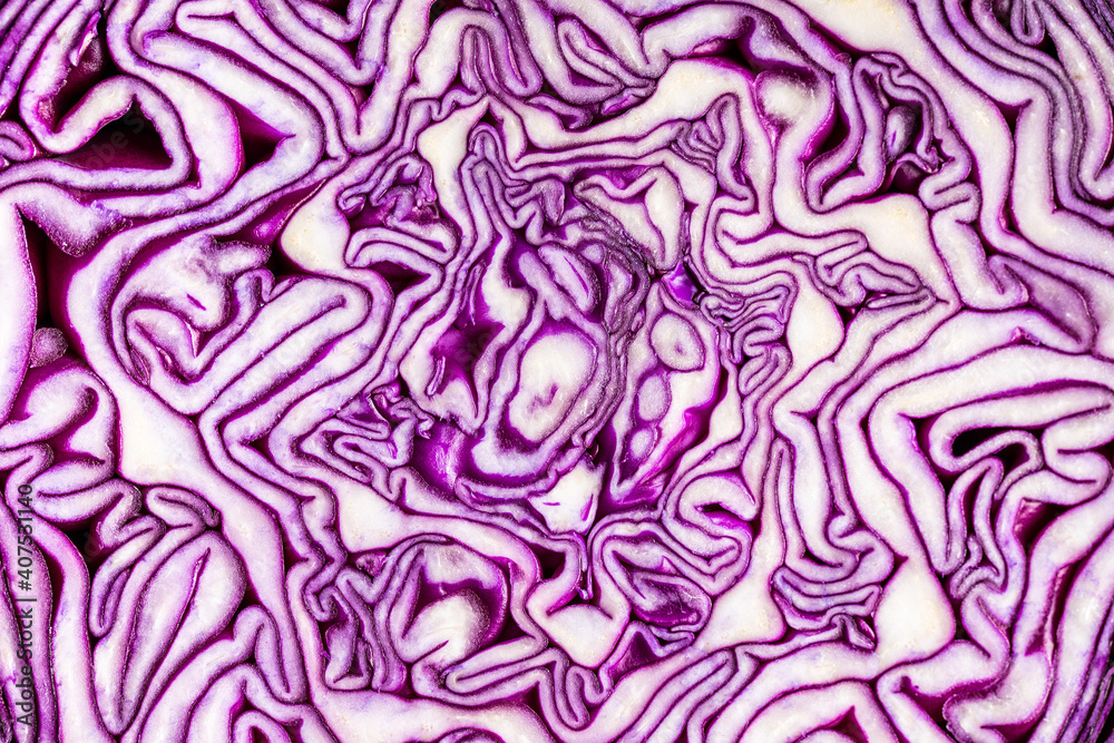 Obraz premium Fresh red cabbage.
