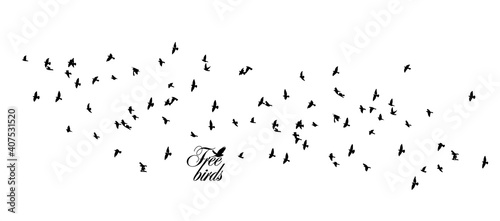 A large flock of flying birds. Vector illustration