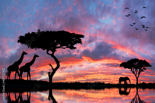 Safari in Africa at sunset photo