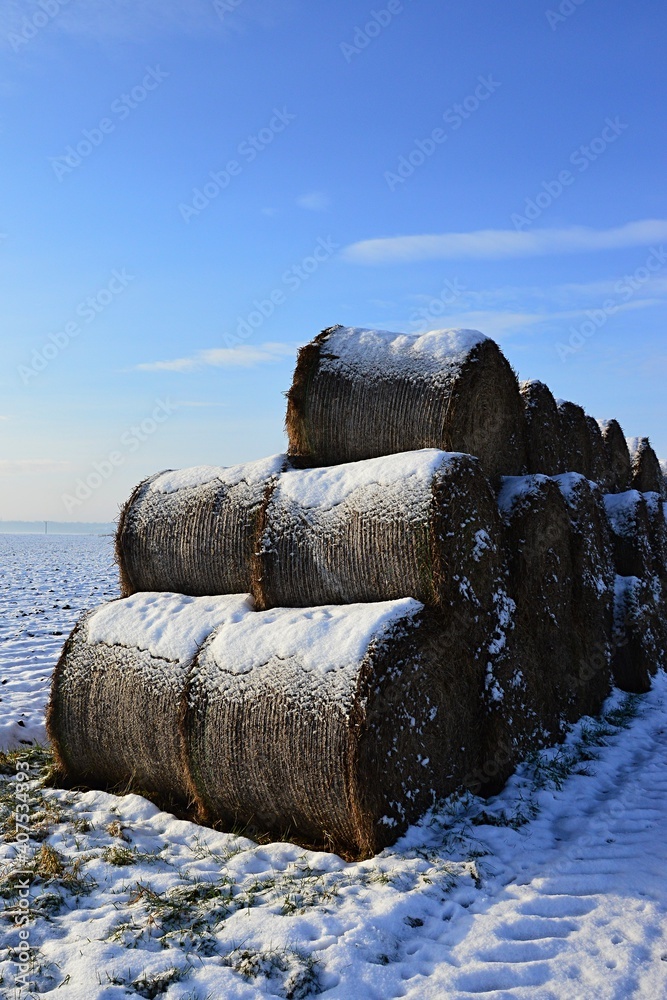 Round hay bales stacked in three levels, covered with snow. Snowy field on the left,, snow covered field road on the right. Morning sunshine with blue skies and some scattered clouds.