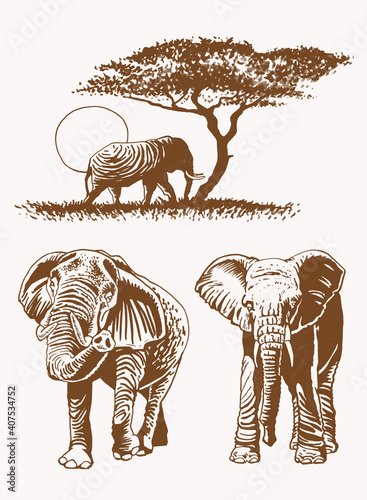 Graphical vintage set of elephants, sepia background, vector illustration
