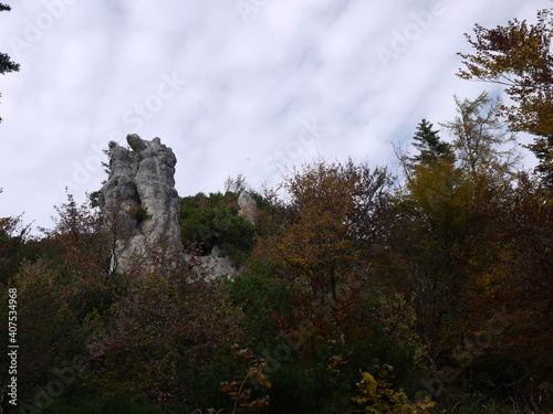 Die Steinerne Agnes