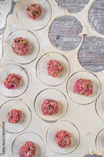 homemade meat dumplings or ravioli with meat