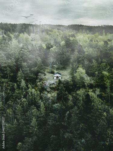 fog in the forest with a small house