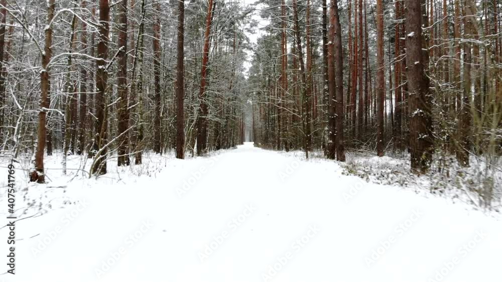 Beautiful winter forest top view. Drone video, winter forest. High quality 4k footage Beautiful winter forest top view. Drone video, winter forest. High quality 4k footage