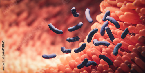 Darmschleimhaut und Darmzotten mit Bakterien: Konzept Darmflora photo
