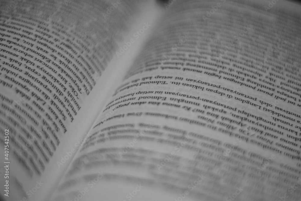 Close up of a book page - literature concept Close up of a book page - literature concept