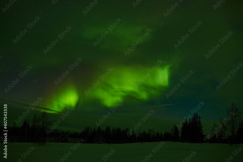 Fototapeta premium northern lights in the night sky