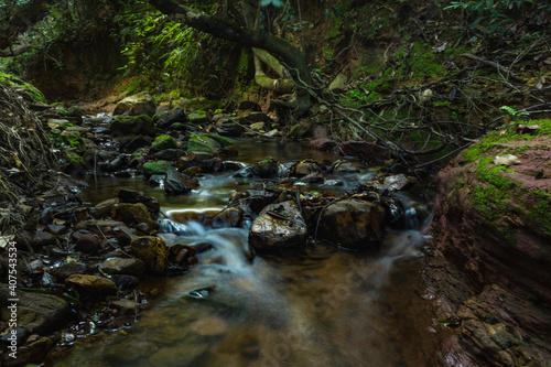 waterfall in the forest