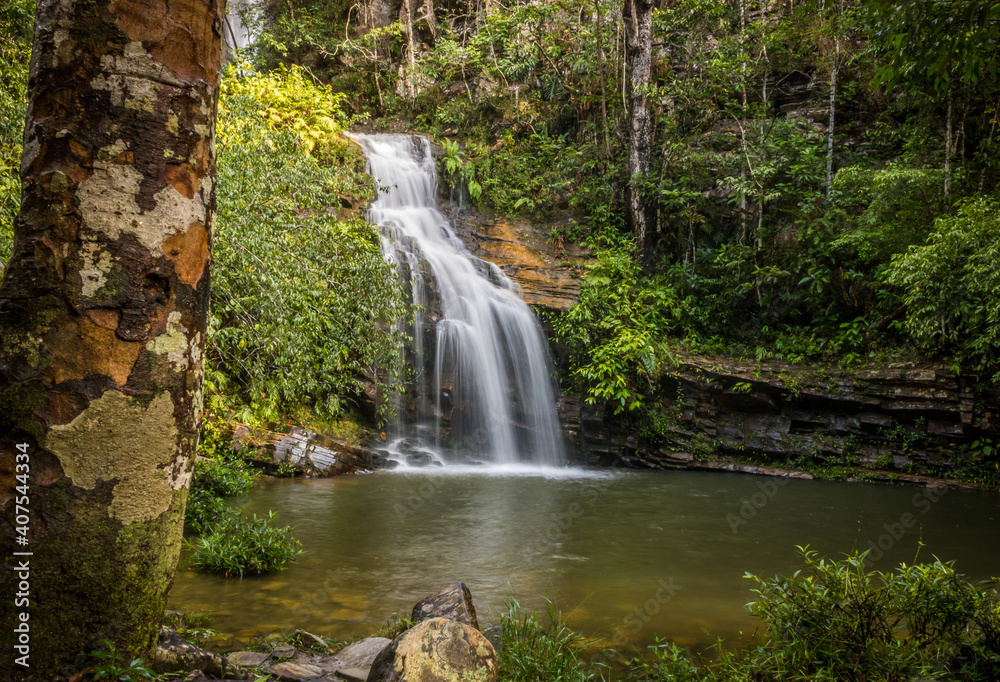 waterfall in the forest