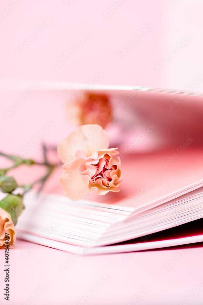 Little carnation tea rose color and open book on a pink background Little carnation tea rose color and open book on a pink background