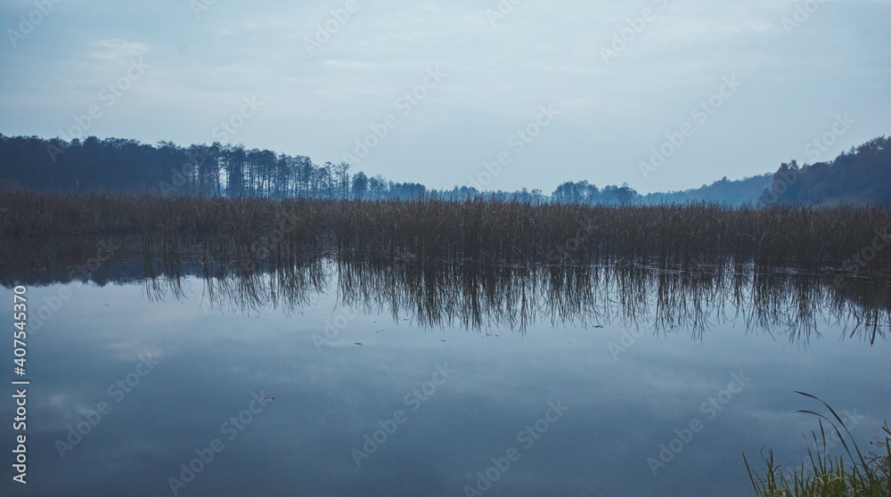 Forest lake under blue cloudy sky