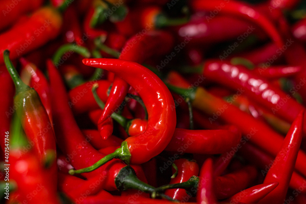 Fresh Washed Red Chillies with Water Droplets – Vibrant Organic Spicy Peppers Fresh Washed Red Chillies with Water Droplets – Vibrant Organic Spicy Peppers