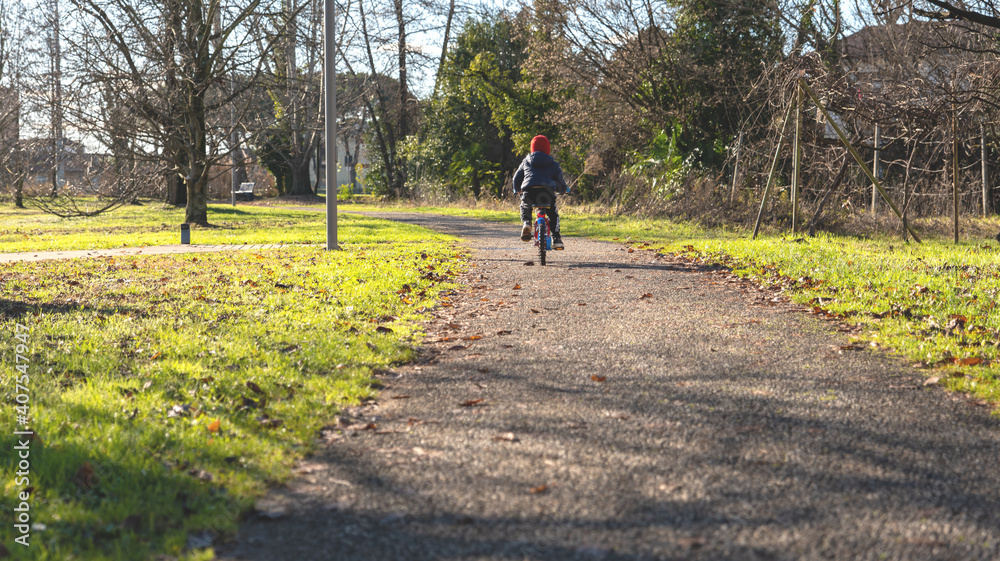 boy rides a bicycle along the alley in the park on a sunny day