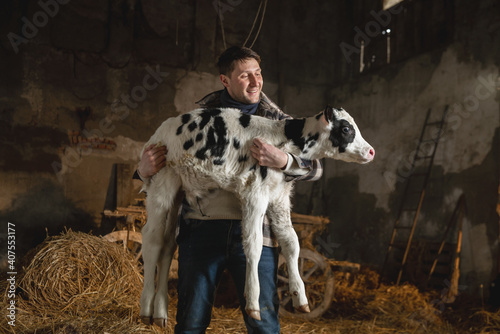 Foto Cinematic shot of young happy proud male farmer is holding on his arms ecologically grown newborn calf used for biological milk products industry in a cowshed stable of countryside dairy farm