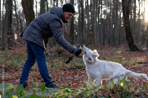 white Swiss Shepherd in the woods with a man