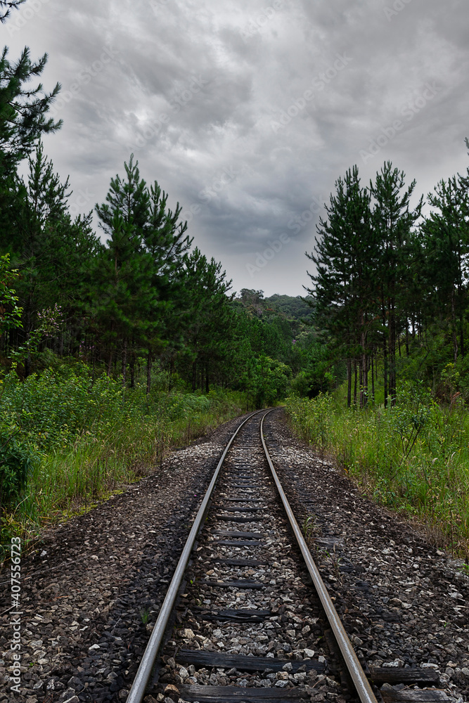 Fototapeta premium Atlantic forest with araucaria (Araucaria angustifolia) stands out, where there is a railway line, in the city of Apiaí, São Paulo.